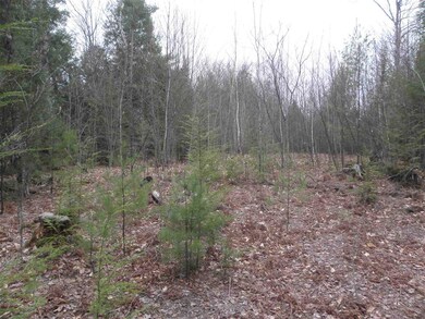 28 Champagne Cir, Campton, NH 03223 - photo 2