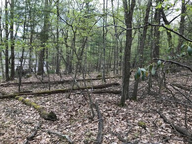 126 Nelson Rd, Milford, PA 18337 - photo 4