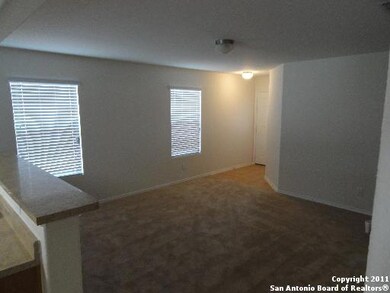 25226 Judson Bend, San Antonio, TX 78261 - photo 4