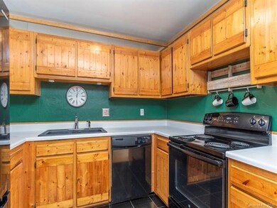 47 Tipperary Dr, Asheville, NC 28806 - photo 6