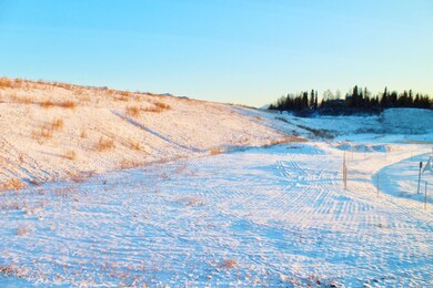 Backs to undeveloped land + local trails