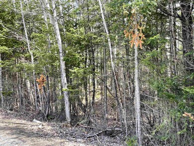 33 Leigh Ln unit 28, Colebrook, NH 03576 - photo 6