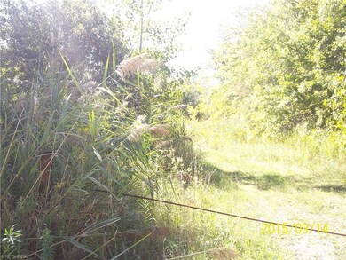 2216 N County Line Rd, Geneva, OH 44041 - photo 3