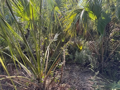 0 Upper Manatee River Rd unit MFRA4673310, Bradenton, FL 34212 - photo 6