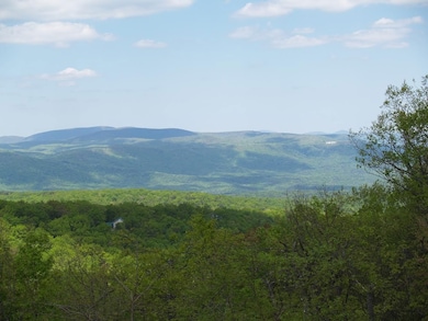 519 Lower Sassafras Pkwy, Jasper, GA 30143 - photo 5