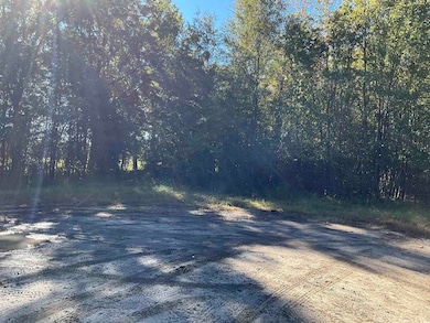 TBD Derrick Ct, Marion, SC 29571 - photo 5