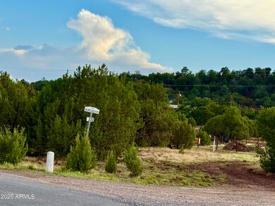 180 Co Rd 3148 Lot #1 2 1 Acres --, Vernon, AZ 85940 - photo 6