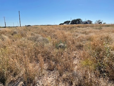 View of nearest neighbor