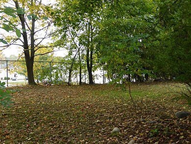 Yard/Garden.