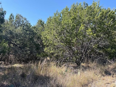 Lot K10037 Dew Drop, Cottonwood Shores, TX 78657 - photo 3