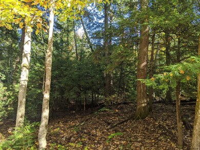 0 Dean Mountain Rd unit 202124233, Hadley, NY 12835 - photo 4