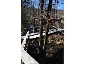 Foot Bridge Over Roaring Creek
