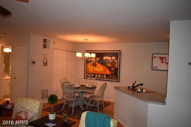 21 Tintern Ct unit 103, Lutherville Timonium, MD 21093 - photo 7