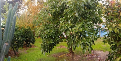 15695 El Capitan Way, Delhi, CA 95315 - photo 3