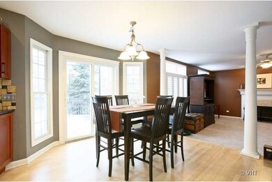 4831 Fesseneva Ln, Naperville, IL 60564 - photo 4