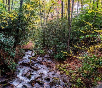 Enjoy miles of streams and hiking trails!