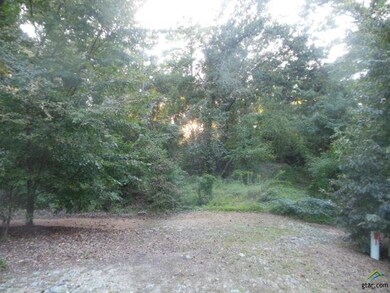 6125 Brixworth Dr, Tyler, TX 75703 - photo 7