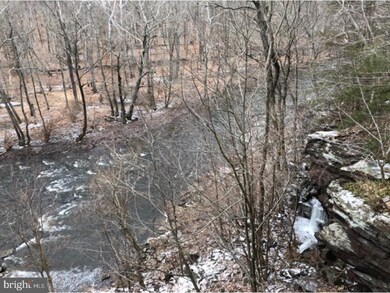 7055 Stump Rd unit 3, Pipersville, PA 18947 - photo 4