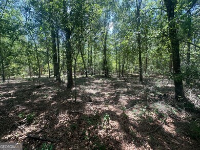 0 Rocky Knob Rd unit 10527508, Sylvania, GA 30467 - photo 7