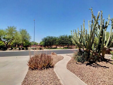View from Front Door