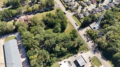 000 Holly Bush Rd, Brandon, MS 39047 - photo 7