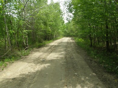 M10L4 Stone Bridge Rd, Garland, ME 04939 - photo 6