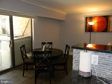 2259 Castle Rock Square unit 2B, Reston, VA 20191 - photo 7