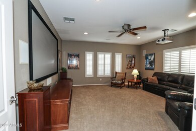 5 Massive Media Room off of Entry