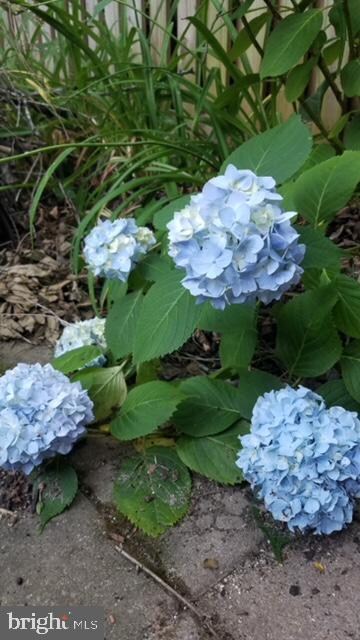 2418 Wanda Way, Reston, VA 20191 - photo 4