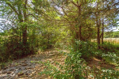 Fm Rd 177 (4 of 9)