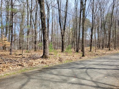 0 Timber Trail unit 1557082, South Berwick, ME 03908 - photo 7