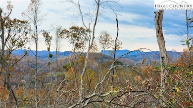 A18 Meadow Ave Loop, Banner Elk, NC 28604 - photo 2