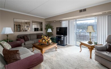 2120 Greentree Rd unit 511E, Pittsburgh, PA 15220 - photo 4