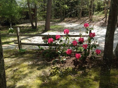 39 Tower Ridge Rd, Oak Bluffs, MA 02557 - photo 5