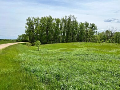 Lot from North Corner facing SE along east border