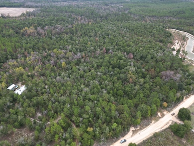 2839 Highview Cir, Chipley, FL 32428 - photo 4