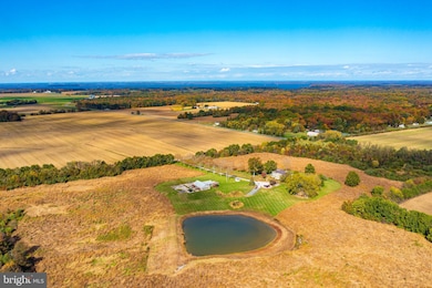 10121 Fairlee Rd, Chestertown, MD 21620 - photo 5