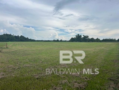 0 Paddock Trace Dr unit 1, Foley, AL 36535 - photo 2