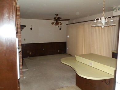 827 E Grant St, Hastings, MI 49058 - photo 5