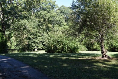 DSC_0008