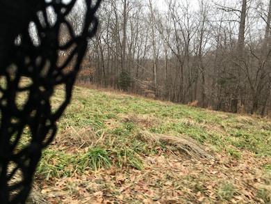 White Hill Rd, Breeding, KY 42717 - photo 2