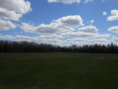 W10485 S Koepenick Rd, Deerbrook, WI 54424 - photo 3