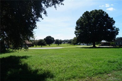 825 E Dakota Ct, Hernando, FL 34442 - photo 7