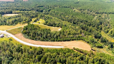 397 Lukas Rd, Lawrenceburg, TN 38464 - photo 3