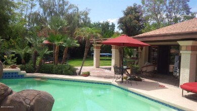 Large Lush Backyard