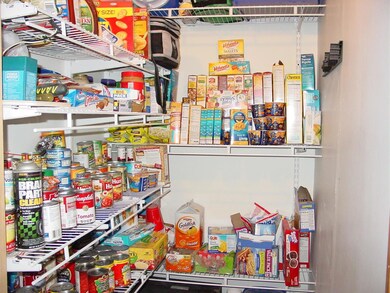 Walk-in Pantry