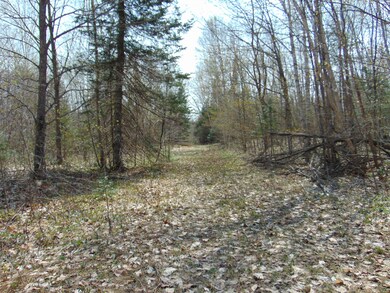 Trail