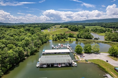 184 Waters Edge Dr, Spring City, TN 37381 - photo 5