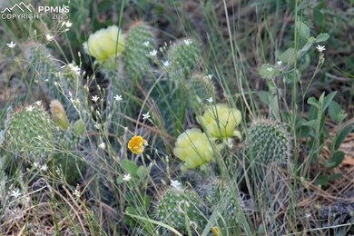 Tract 23 Sweet Rd, Calhan, CO 80808 - photo 5