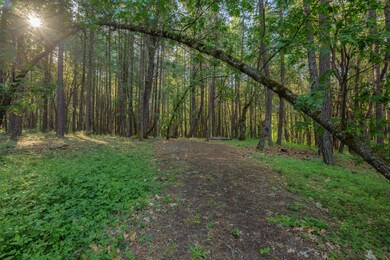 355FirviewLn-002